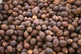 WhatsApp Image 2020-10-27 at 09.39.42.jpeg