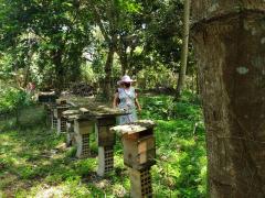 Visita Comunidade Coqueiro-13out2020C.jpeg