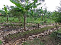 Visita Comunidade Coqueiro-13out2020E.jpeg