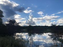 WhatsApp Image 2020-11-11 at 15.35.03.jpeg