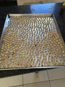 WhatsApp Image 2020-11-11 at 15.37.24 (1).jpeg