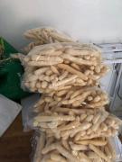 WhatsApp Image 2020-11-11 at 15.37.24 (3).jpeg