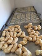 WhatsApp Image 2020-11-11 at 15.37.24 (4).jpeg