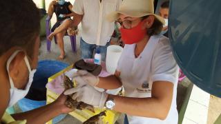 WhatsApp Image 2020-11-20 at 16.40.09.jpeg