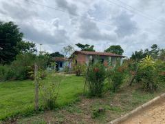 WhatsApp Image 2020-11-21 at 14.26.47.jpeg