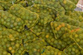 WhatsApp Image 2020-12-07 at 09.35.04 (1).jpeg