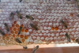 WhatsApp Image 2020-12-09 at 10.27.48.jpeg