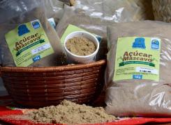 WhatsApp Image 2020-12-11 at 13.24.14.jpeg