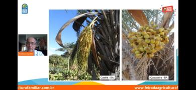 WhatsApp Image 2020-12-11 at 22.35.40 (1).jpeg