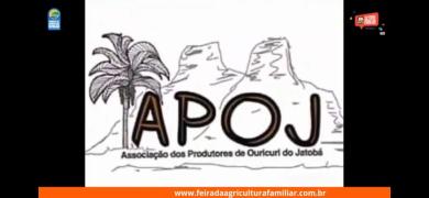 WhatsApp Image 2020-12-11 at 22.35.41 (1).jpeg