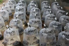 WhatsApp Image 2020-12-18 at 14.53.40.jpeg