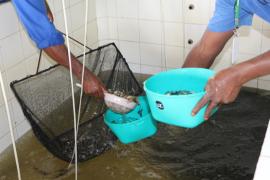 WhatsApp Image 2020-12-18 at 14.53.41 (2).jpeg