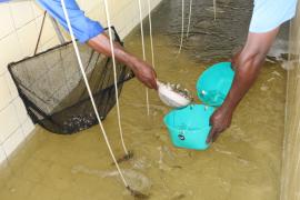 WhatsApp Image 2020-12-18 at 14.53.45 (1).jpeg