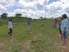 Sistemas agricolas (3).jpeg