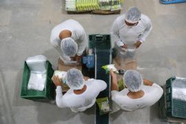 WhatsApp Image 2021-01-07 at 15.15.23.jpeg