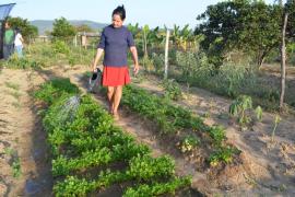 WhatsApp Image 2021-01-19 at 18.27.09.jpeg