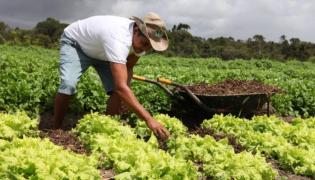 WhatsApp Image 2021-01-20 at 15.25.25.jpeg