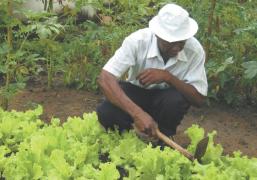 WhatsApp Image 2021-01-20 at 15.25.27.jpeg