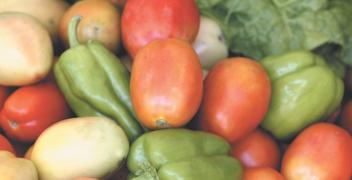 WhatsApp Image 2021-01-20 at 15.25.28.jpeg