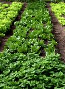 WhatsApp Image 2021-01-20 at 15.25.29.jpeg