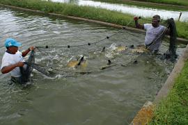 WhatsApp Image 2021-01-21 at 09.05.32.jpeg