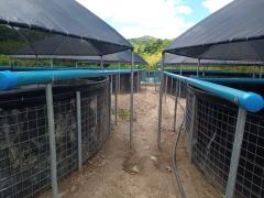 WhatsApp Image 2021-01-21 at 15.19.21.jpeg