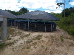 WhatsApp Image 2021-01-21 at 15.19.26.jpeg