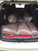 WhatsApp Image 2021-01-26 at 16.43.04.jpeg