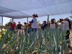 Certificacao - Casa Nova (3).jpeg