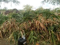 WhatsApp Image 2021-02-02 at 10.46.42 (5).jpeg