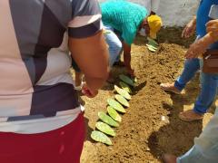 WhatsApp Image 2021-02-04 at 23.13.39.jpeg