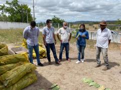 WhatsApp Image 2021-02-05 at 11.56.06.jpeg