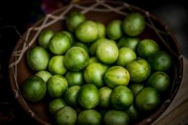 WhatsApp Image 2021-03-02 at 14.49.16.jpeg