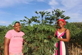 WhatsApp Image 2021-03-08 at 11.19.05.jpeg