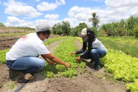 WhatsApp Image 2021-03-08 at 18.14.34.jpeg