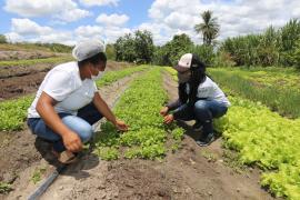 WhatsApp Image 2021-03-08 at 18.14.36.jpeg