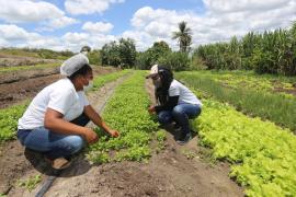 WhatsApp Image 2021-03-08 at 18.14.39.jpeg