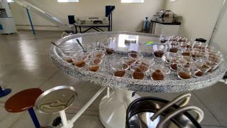 WhatsApp Image 2021-03-25 at 15.53.05 (1).jpeg