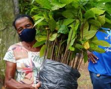 1 - Agricultura familiar [1].jpg