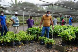 1 - Agricultura familiar [2].jpg