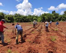 WhatsApp Image 2021-04-01 at 11.28.50.jpeg