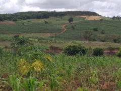 WhatsApp Image 2021-04-01 at 11.28.52.jpeg