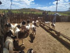 WhatsApp Image 2021-04-07 at 16.05.56 (1).jpeg