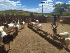 WhatsApp Image 2021-04-07 at 16.05.56 (2).jpeg