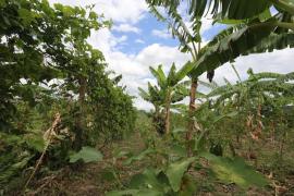 WhatsApp Image 2021-04-08 at 14.28.30 (1).jpeg