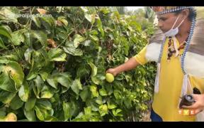 WhatsApp Image 2021-04-19 at 16.00.16.jpeg