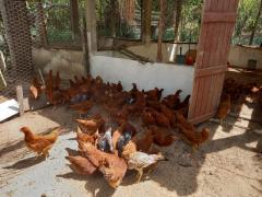 WhatsApp Image 2021-04-22 at 14.30.36 (2).jpeg