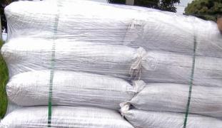 WhatsApp Image 2021-04-23 at 17.54.48.jpeg