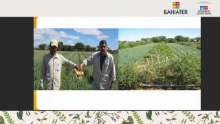 WhatsApp Image 2021-04-30 at 10.57.04.jpeg