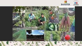 WhatsApp Image 2021-04-30 at 10.57.05.jpeg